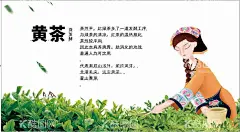 国潮风黄茶  - 源文件下载【酷图网】茶,白茶,黄茶,绿茶,乌龙茶,红茶,黑茶,铁观音,普洱茶,中国风,卡通,手绘,少女,名片,海报,展板,可爱风,可爱,茶介绍,茶简介,茶知识,国潮风,国潮人物,国潮少女,