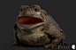 Toad | Fable - Official Announce Trailer, , AngelaRico - CGSociety
