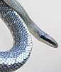    ​​​​
