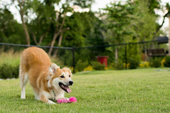 shutterstock_5186073...
