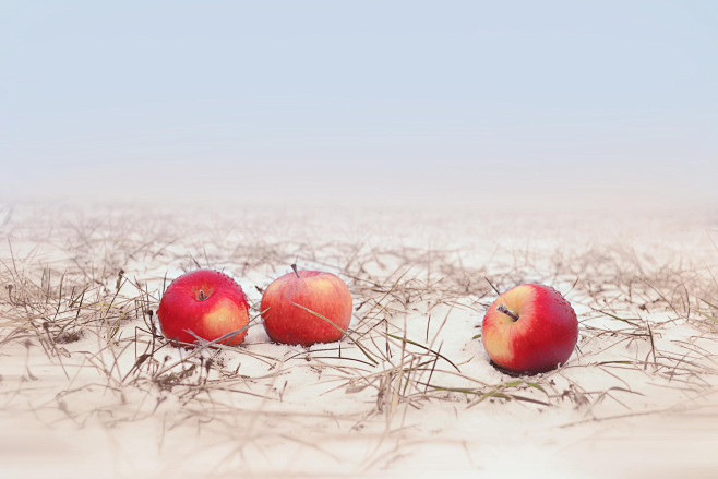 Apples at The Snow b...
