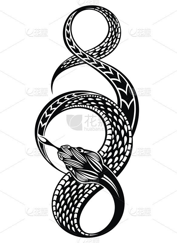 蛇,剪影,绘画插图,怪异,背景分离,野生...