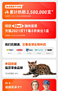 万物一口®猫条Omega3鱼油猫条牛磺酸0胶0淀粉0诱食猫零食防掉毛-tmall.com天猫