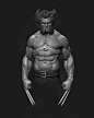 Wolverine Fan Art, Cauê Costa : Wolverine Fan Art that i did in my free time. 
Zbrush + Photoshop.
Hope you like it!