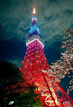 小宁芙采集到tower