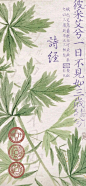 微博 – 随时随地发现新鲜事