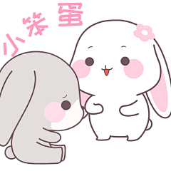 笨蛋