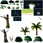 jungle_06