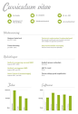 Curriculum vitae on Behance