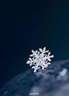 Mini-艇仔采集到雪花秀