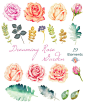 Dreaming Rose Garden Watercolor :  