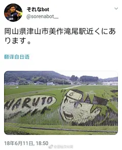 #鼠绘认证# 大神在民间！近日有日本网友发现有人在一片稻田中“绘制”了一副巨大的漩涡鸣人画像，鸣人的面部表情等制作的都是非常的完美，令人赞叹不已。 ​​​​