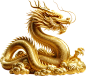 立体龙