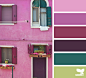 color home
