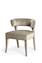 AILEEN | DINING CHAIR - Contemporary Transitional Modern Dining Chairs - Dering Hall