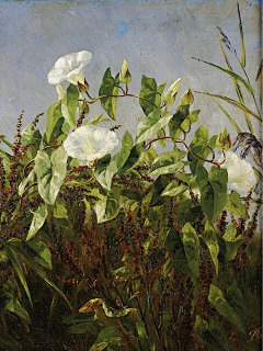 CATSOS采集到Painting | Oil painting