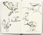 Animal Sketchbook