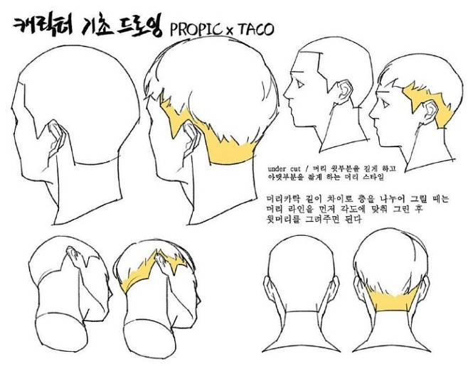 头部绘画素材参考
画师 타코작가 ​​​...