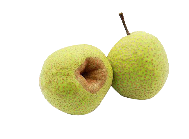莱阳梨