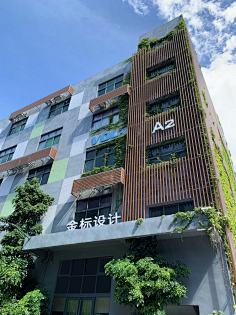 金标设计采集到金标设计