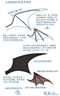 #绘画参考# 鸟&蝙蝠的翅膀教程，学会这几种画法，画出帅气的蝙蝠侠也不在话下~（整理by@半次元绘画频道 ）