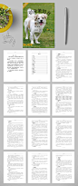 宠物店创业计划书WORD-众图网