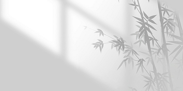 白色简约大气阳光光影光斑窗户竹叶影子展板...