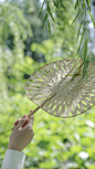 定制扇子夏季竹编扇老式蒲扇儿童古代网红小清新蹦迪漂亮折扇便携-淘宝网