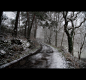 Black seasons - Part seven on Behance