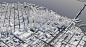 san francisco terrain cityscape 3d max (2)