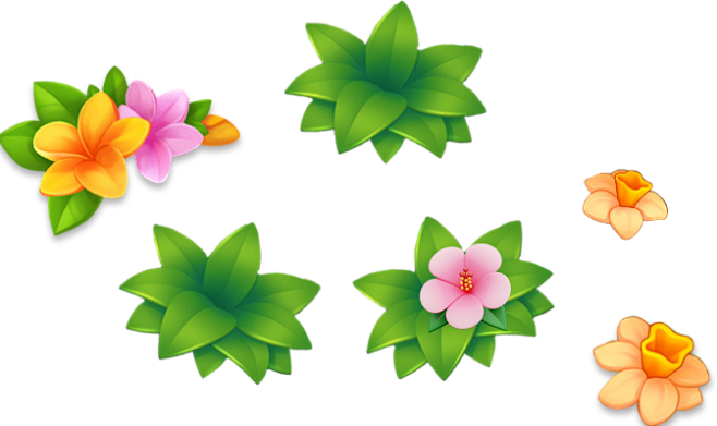flower