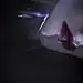 无论做什么
记得为自己而做
那就毫无怨言