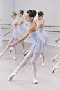 其中包括图片：A Ballet EducationThe Ballet Directory
