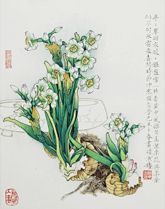 只爱～向日葵采集到工笔画