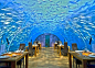Ithaa Undersea Restaurant – 伦格里岛，马尔代夫