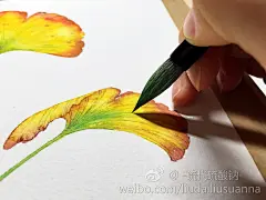 24节气花卉-19银杏-硫代硫酸钠_原创,水彩,花卉_涂鸦王国插画