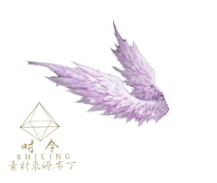 时光尽头有片海采集到翅膀