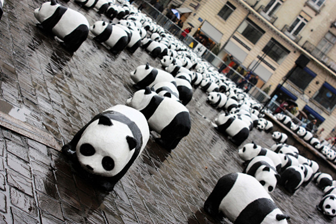 panda.jpg (660×440)