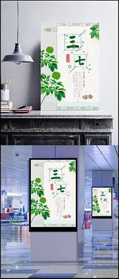 绿色三七宣传海报背景|背景,宣传海报,宣传背景,三七海报,绿色背景,海报背景,绿色海报,三七,野三七,中医文化,藤三七,三七片,三七根,养生,三七批发,田七粉,养生中医,三七种植,田七,田,商务/科技,背景图