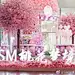 采集图片