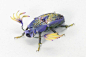 日本艺术家 Hiroshi Shinno 创作极度逼真的结合植物与昆虫的幻想生物。不要误会，并没有使用真正的昆虫和植物，植物部分由树脂制作并用丙烯颜料精细绘制纹理，骨架由黄铜制作。（hiroshishinno.com） ​​​​