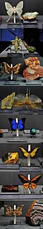 @狮鸢sonny：飛起來的寶石：來自德國弗萊堡的展覽，與每種昆蟲對應的礦石展覽~是不是感覺它們真的是來自這些奇異的礦石呢？ 
