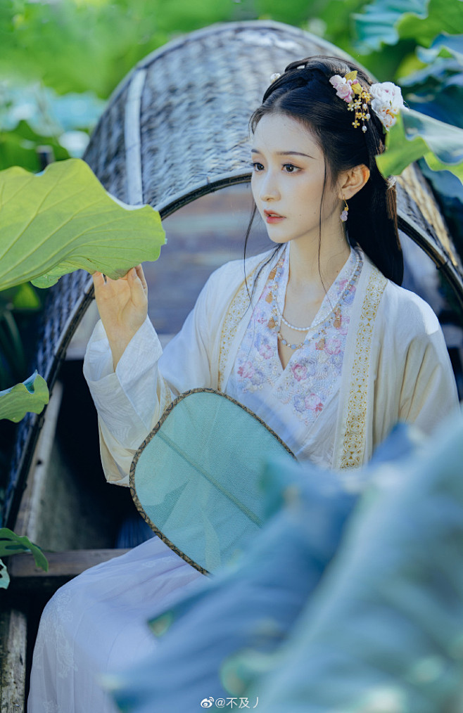 -
    片舟采荷去，误入绿伞林；
 ...