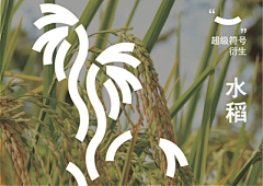 摸鱼要努力采集到造字