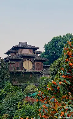 秋天 落叶 杏叶 枫叶 山水树木 黄色 唯美图片 手机插画壁纸 风景图 图来自网络见水印