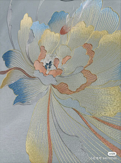 NALIQ采集到肌理