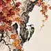 黄幻吾的花鸟画
