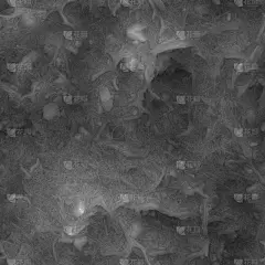 微生物和细菌在强显微镜下放大