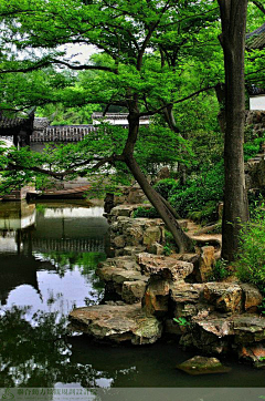 冯如芹采集到日式景观