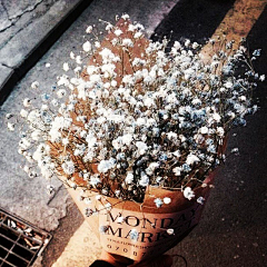 〆Art采集到色彩